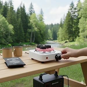 Portable Electric Hot Plate | Single Burner Coil Stove with Temperature Control for Cooking & Travel